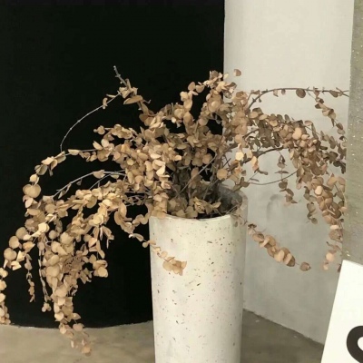 肥东FurryQQ群介绍